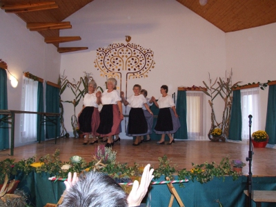 Szüreti fesztivál_2010_11