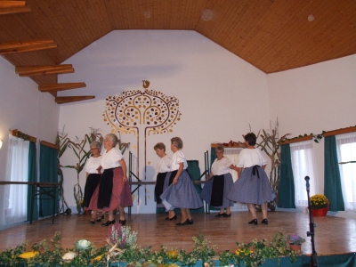 Szüreti fesztivál_2010_13