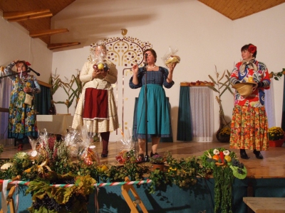 Szüreti fesztivál_2010_18