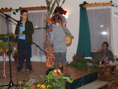 Szüreti fesztivál_2010_19