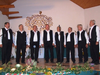 Szüreti fesztivál_2010_20