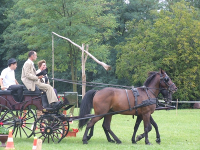 Becsvölgye Napja_2010_25