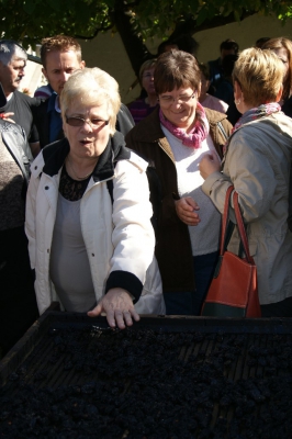 Szüreti fesztivál_2013_4