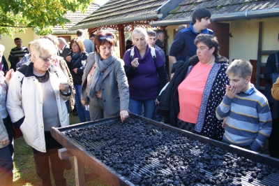 Szüreti fesztivál_2013_5
