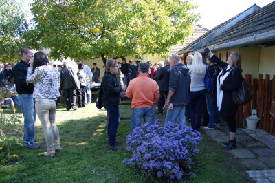 Szüreti fesztivál_2013_7