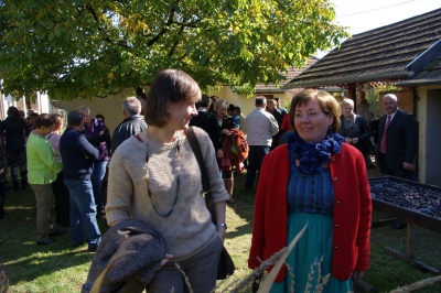 Szüreti fesztivál_2013_9