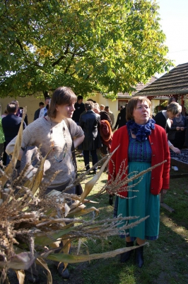 Szüreti fesztivál_2013_11
