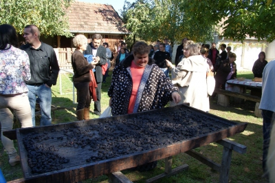Szüreti fesztivál_2013_13