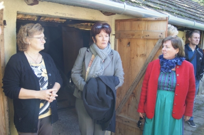 Szüreti fesztivál_2013_14