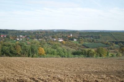 Szüreti fesztivál_2013_20