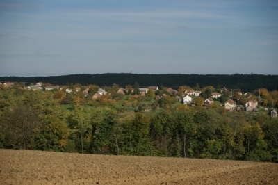 Szüreti fesztivál_2013_21