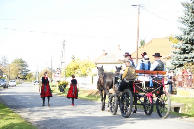 Szüreti fesztivál_2013_22