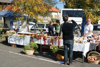 Szüreti fesztivál_2013_23