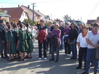 Szüreti fesztivál_2013_28