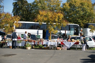 Szüreti fesztivál_2013_29