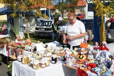 Szüreti fesztivál_2013_33