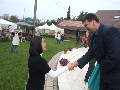 Szüreti fesztivál_2010_28