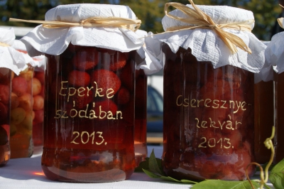Szüreti fesztivál_2013_47