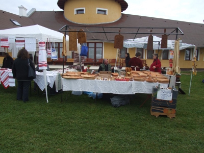 Szüreti fesztivál_2010_29