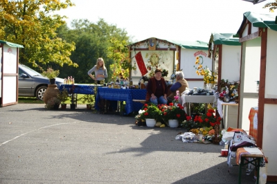 Szüreti fesztivál_2013_58