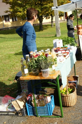Szüreti fesztivál_2013_59