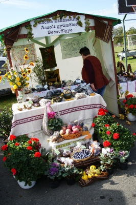 Szüreti fesztivál_2013_60