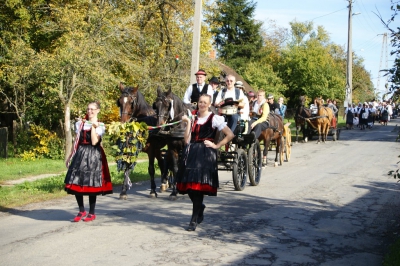 Szüreti fesztivál_2013_66