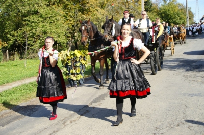 Szüreti fesztivál_2013_67