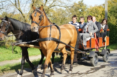 Szüreti fesztivál_2013_73