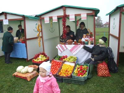 Szüreti fesztivál_2010_32