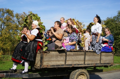 Szüreti fesztivál_2013_83
