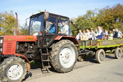 Szüreti fesztivál_2013_85