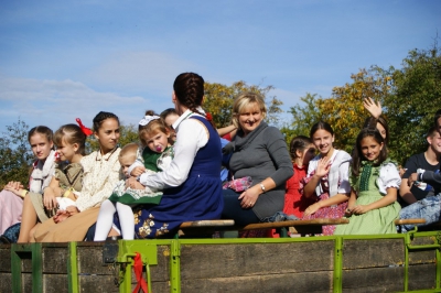 Szüreti fesztivál_2013_86