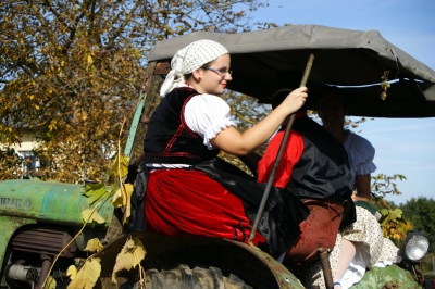 Szüreti fesztivál_2013_94