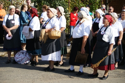 Szüreti fesztivál_2013_102
