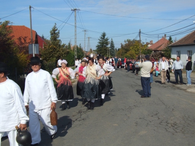 Szüreti fesztivál_2013_103