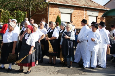 Szüreti fesztivál_2013_104
