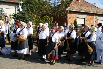 Szüreti fesztivál_2013_109