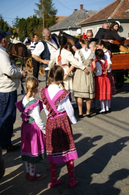 Szüreti fesztivál_2013_113