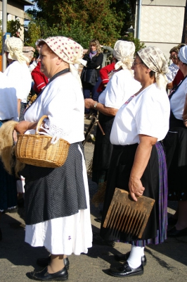 Szüreti fesztivál_2013_115
