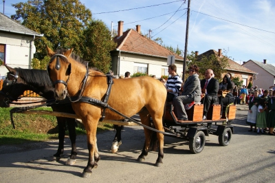 Szüreti fesztivál_2013_116