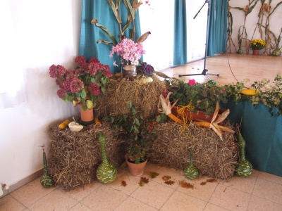 Szüreti fesztivál_2010_36