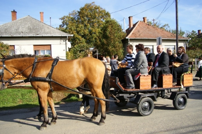 Szüreti fesztivál_2013_118