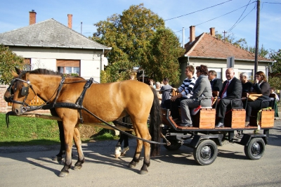 Szüreti fesztivál_2013_119