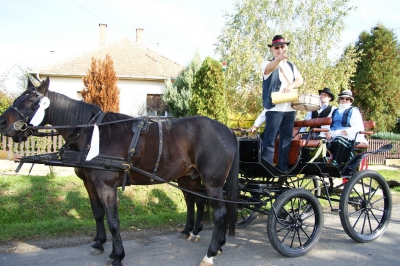 Szüreti fesztivál_2013_123