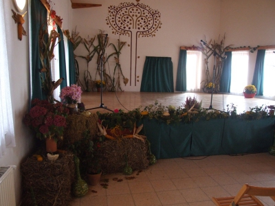 Szüreti fesztivál_2010_37
