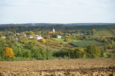 Szüreti fesztivál_2013_128