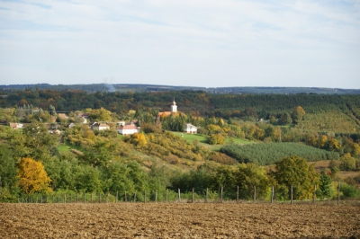 Szüreti fesztivál_2013_129