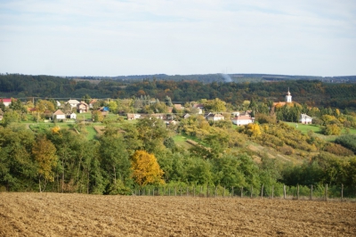 Szüreti fesztivál_2013_130