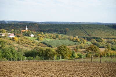 Szüreti fesztivál_2013_131